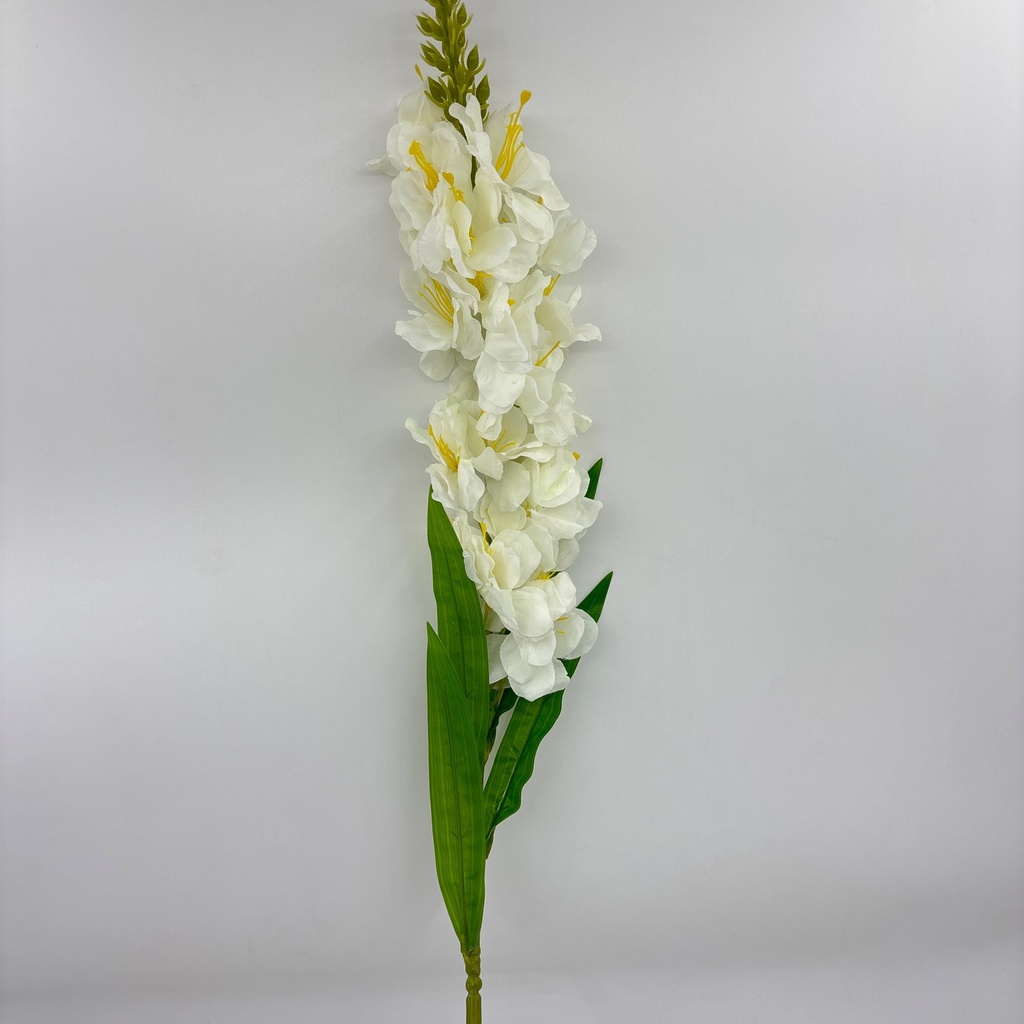 V. DE DRAGÓN BLANCO
