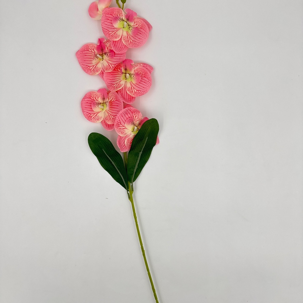 ORQUIDEA ROSADA
