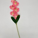 ORQUIDEA ROSADA