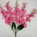 R. GLADIOLA X5 ROSADO