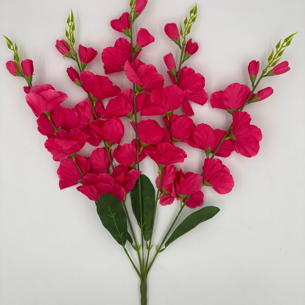R. GLADIOLA X5 FUCSIA