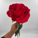 ROSA IMPERIAL ROJO