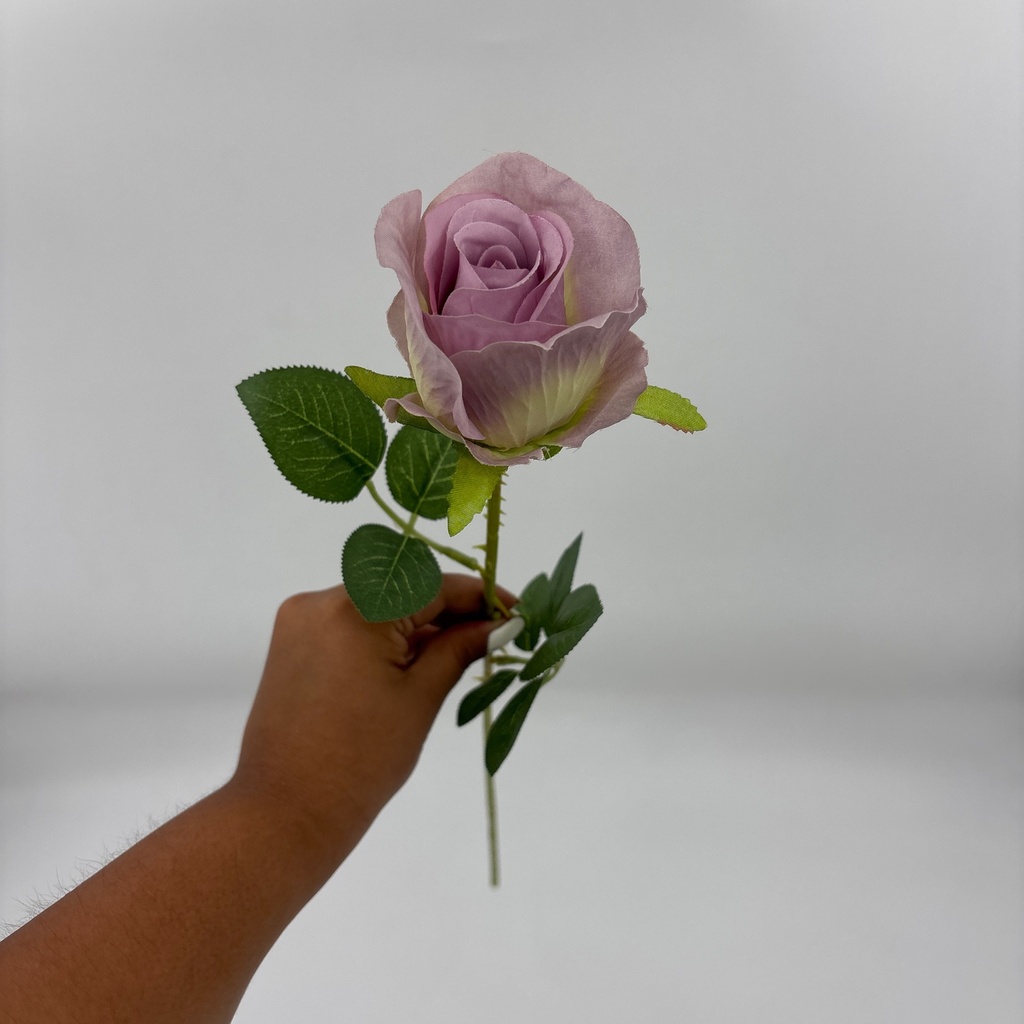 BOTÓN DE ROSA NATURAL MORADO