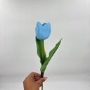 TULIPÁN PRINCESA CELESTE