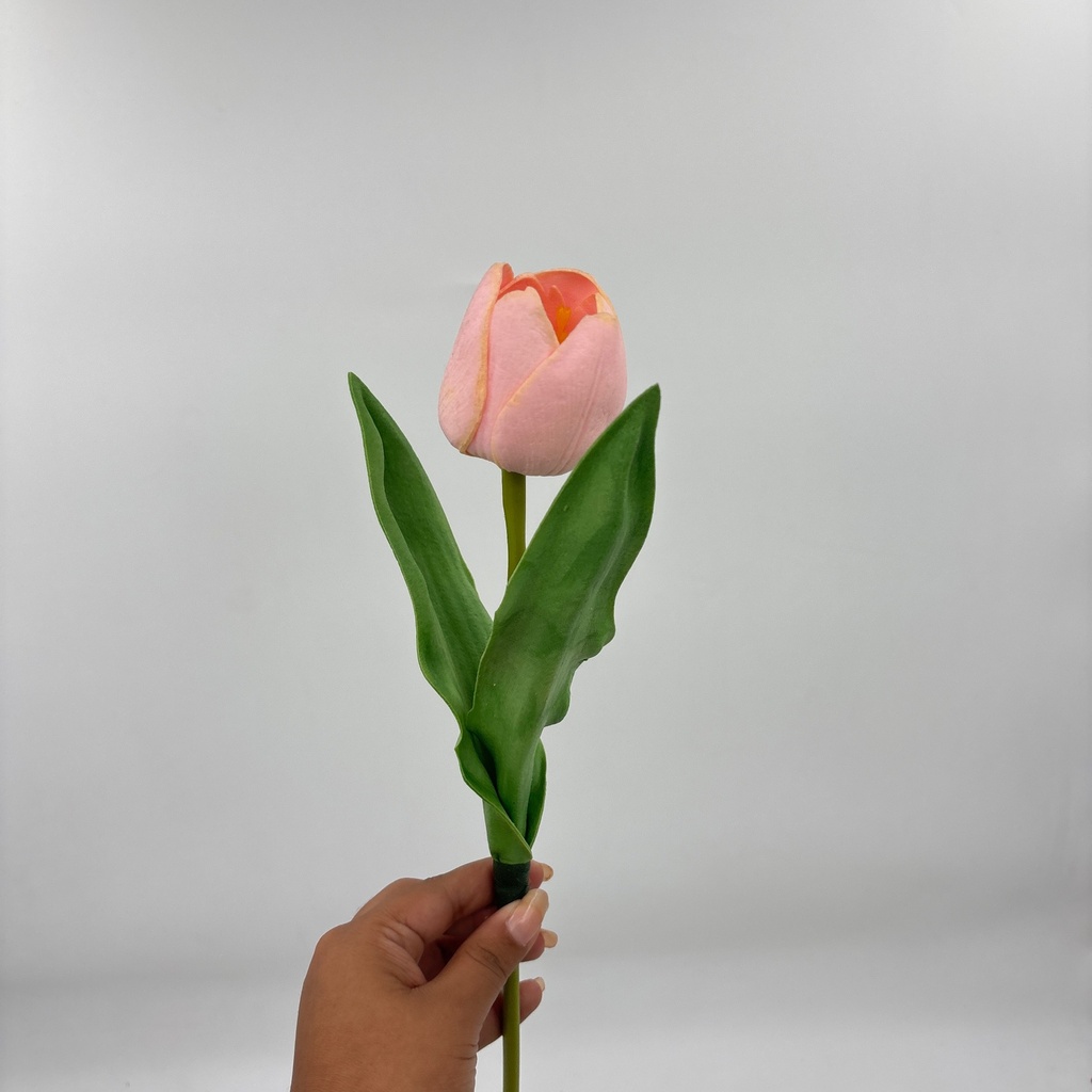 TULIPÁN PRINCESA ROSADO