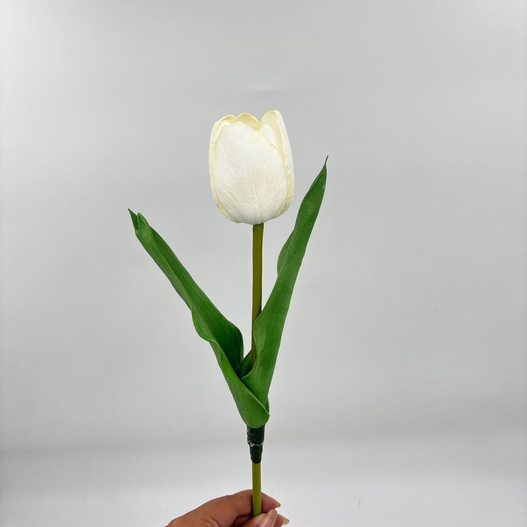 TULIPÁN PRINCESA BLANCO