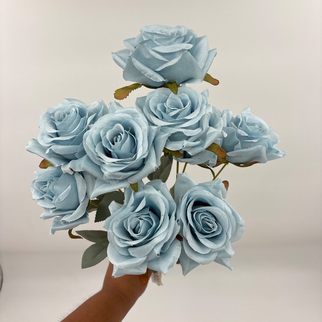 R. ROSA MONDIAL X 9 CELESTE