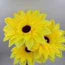 FLOR SUPER NOVA X 5 AMARILLO
