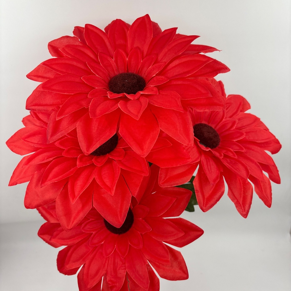 FLOR SUPER NOVA X 5 ROJO