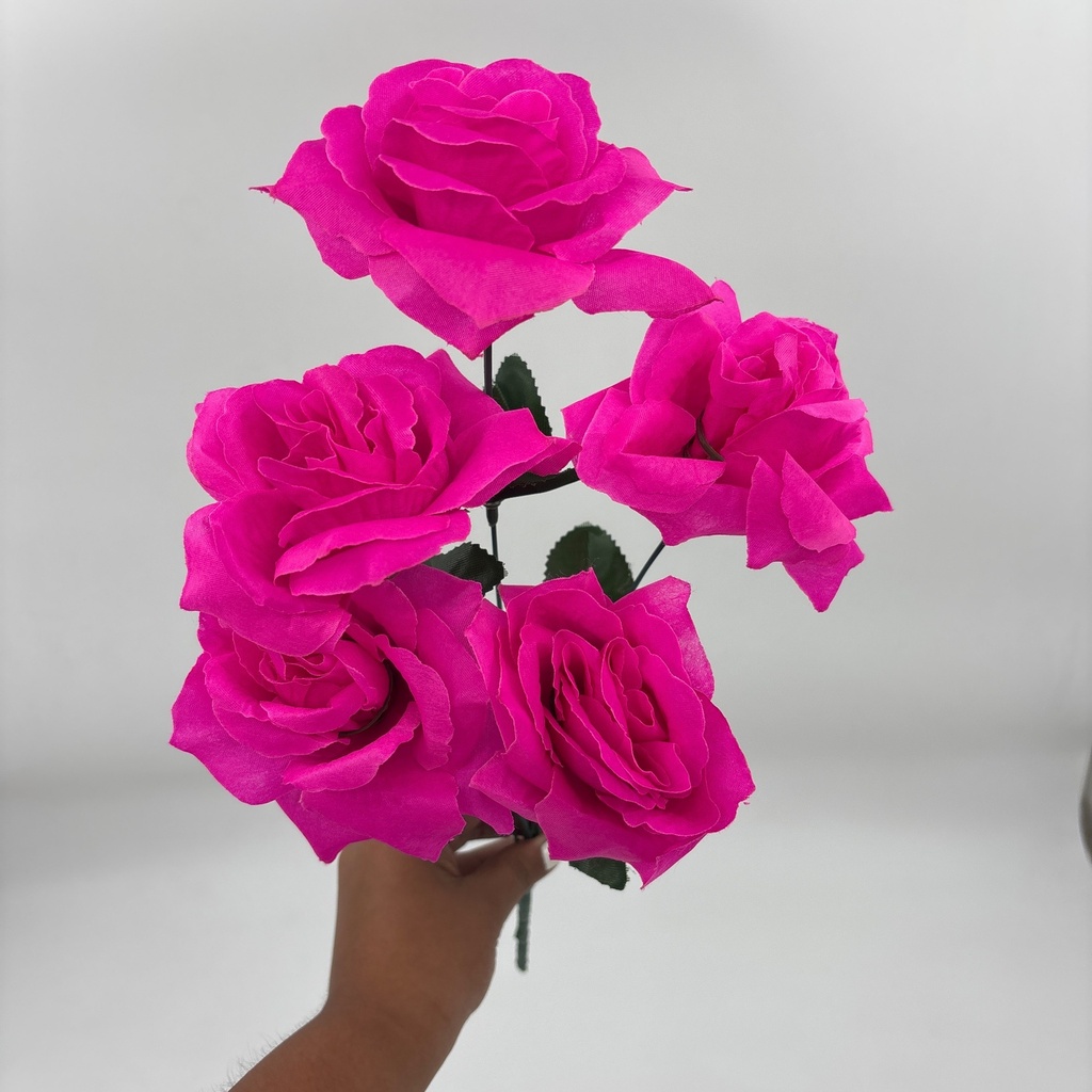 R. ROSA X 5 TRADICIONAL FUCSIA