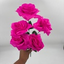 R. ROSA X 5 TRADICIONAL FUCSIA