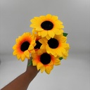 GIRASOL PQ X 7 CENTRO NEGRO
