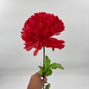 POMPON X 1 ROJO
