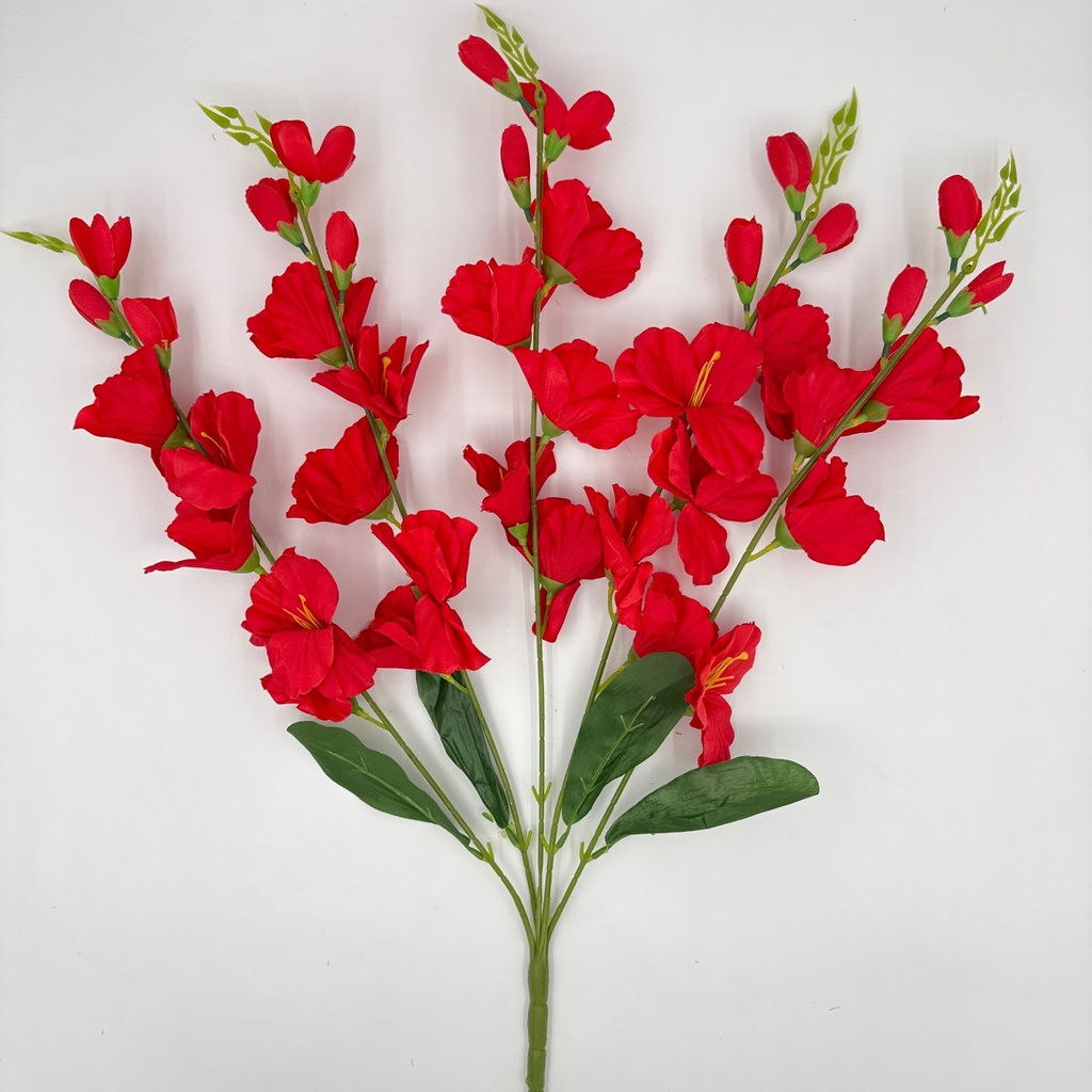 R. GLADIOLA X5 ROJA