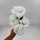 R. ROSA X 5 TRADICIONAL BLANCO