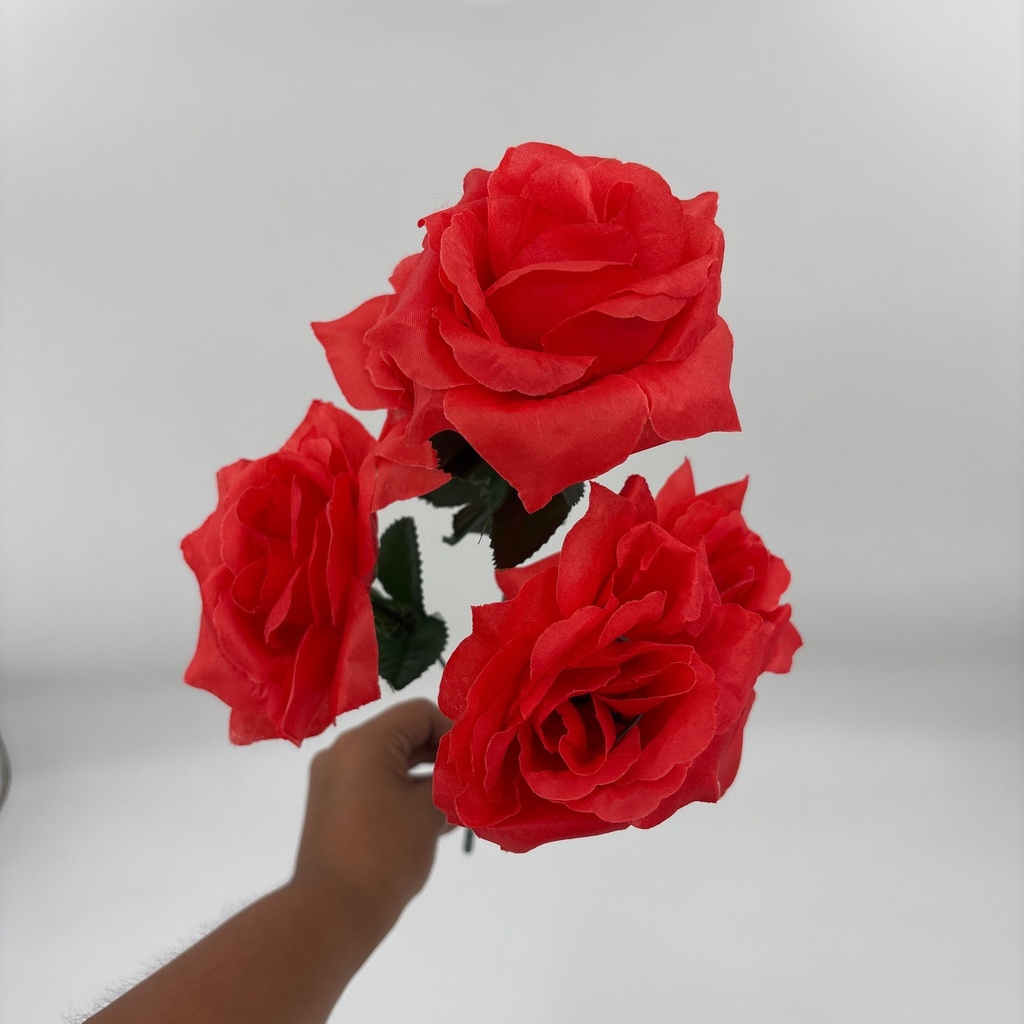 R. ROSA X 5 TRADICIONAL ROJO