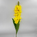 V. DE DRAGÓN AMARILLO
