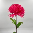 POMPON X 1 FUCSIA