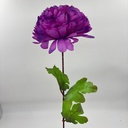 POMPON X 1 MORADO