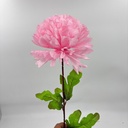 POMPON X 1 ROSADO
