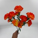 R. CLAVELLINA X 12 NARANJA