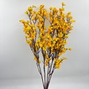 R. DE EXOFILIA AMARILLO