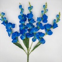 R. GLADIOLA X5 AZUL