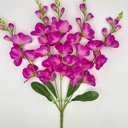 R. GLADIOLA X5 MORADO