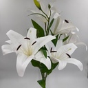 R. LIRIO X 6 Y 3 BOTÓN BLANCO