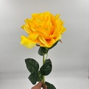 ROSA IMPERIAL AMARILLO