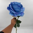 ROSA IMPERIAL AZUL
