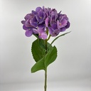V. HORTENSIA X 1 MORADO