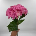V. HORTENSIA X 1 ROSADO