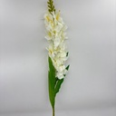 V. DE DRAGÓN BLANCO