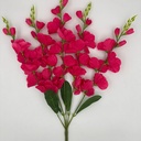 R. GLADIOLA X5 FUCSIA