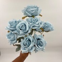 R. ROSA MONDIAL X 9 CELESTE