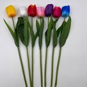 V. TULIPÁN X 10 MULTICOLOR