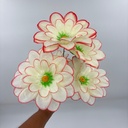 FLOR COPO DE NIEVE X 5 BICOLOR