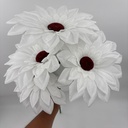 FLOR SUPER NOVA X 5 BLANCO