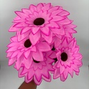 FLOR SUPER NOVA X 5 ROSADO