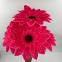 FLOR SUPER NOVA X 5 FUCSIA
