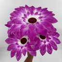 FLOR SUPER NOVA X 5 MORADO