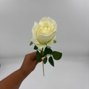 BOTÓN DE ROSA NATURAL BLANCO