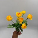 R. CEBOLLITA X 8 AMARILLO