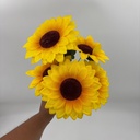 R. GIRASOL X 5 CENTRO NEGRO