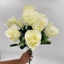R. ROSA WANJUN X 12 C/ BABY PERLA